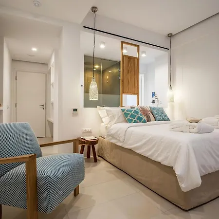 Bluetopia Bed & Breakfast Mykonos Town